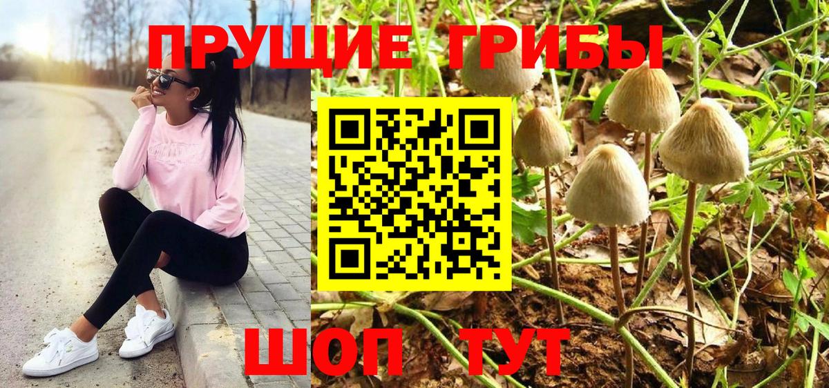 Абакан  Галлюциногенные грибы Psilocybine cubensis  Галлюциногенные грибы Cubensis  Вход с VPN 